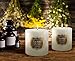 LA JOLIE MUSE Citronella Candles, Pack 3 Pillar Candle, Scented Natural Wax, 23 oz 70 Hours Burn Each, Outdoor and Indoor, White