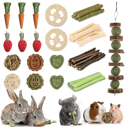 Kagoty 40 PCS Chew Toy Set