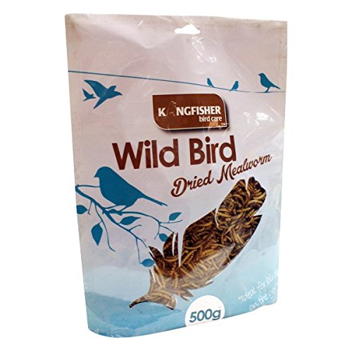 Natures Market BFMW06 Pouch Dried Mealworm, Transparent, 500 g