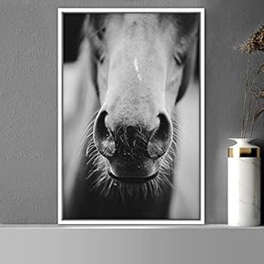 signwin Framed Canvas Wall Art High Contrast Horse...