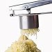 Potato Ricer and Masher - ALISKID Mashed Potato Masher / Ricer Potato Masher / Potato Press / Best Stainless Steel Potato Masher with 3 Large Interchangeable Discs