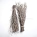 ECOWOODDECOR 100 pcs Birch Twigs for vase decoration. Set of 2 Bundles of Branches 100% natural sticks 17 inches