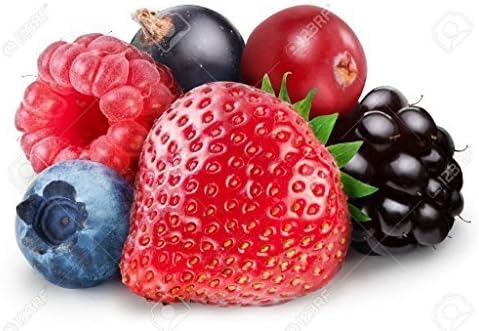 Aromatix Premium WILD BERRIES Candle Making Fragrance Oil - Highly Concentrated -10ml