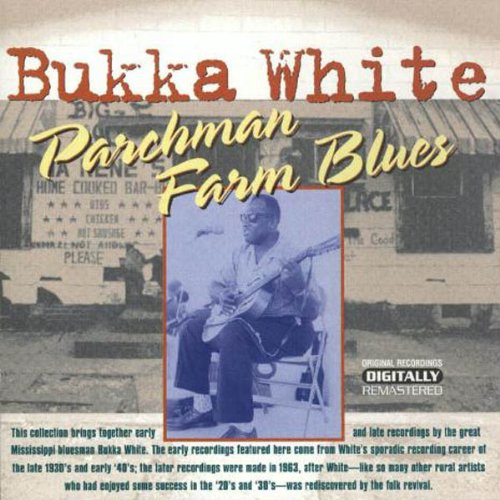 Image result for bukka white albums