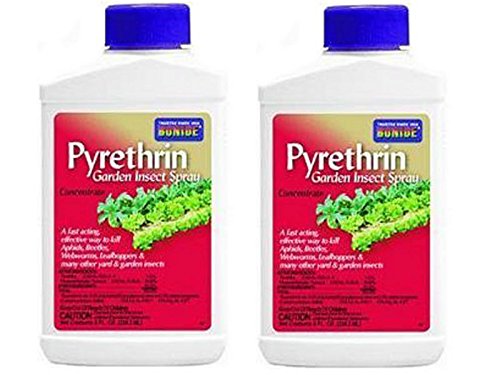 Pyrethrin Concentrate