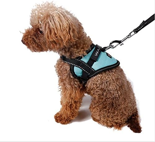 support animal harness