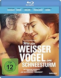 Wie Ein Weißer Vogel Im Schneesturm