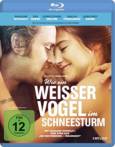 Wie Ein Weißer Vogel Im Schneesturm