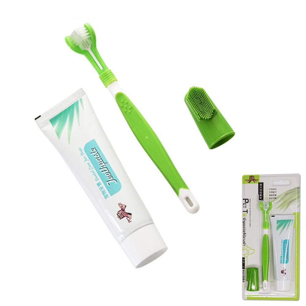 Best 3Piece Oral Care Cleaning Kit Life Sunny