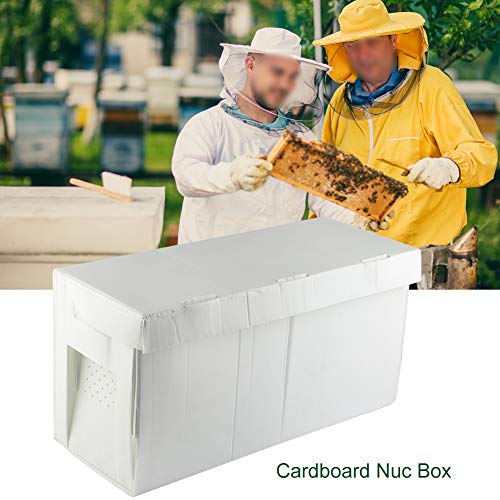 DEWIN Nuc Box - Cardboard Nuc Box, Bee Hive Bee Nuc Beekeeping, Folding Bee Keeping Equipment Beekeeper Bee Cultivating Tool
