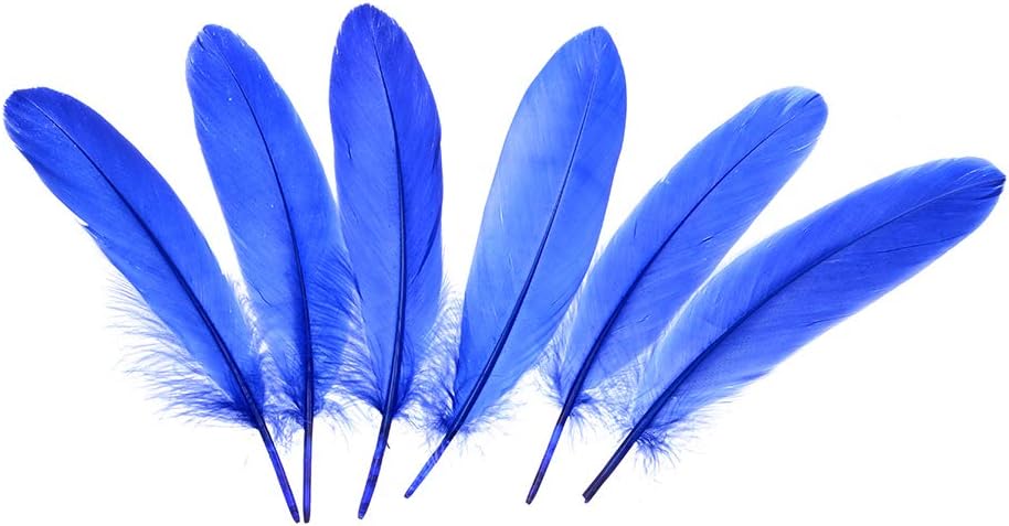 Wanjin Natural Goose Feathers 6-8 inches Clothing Accessories Pack of 100 (Royal Blue)