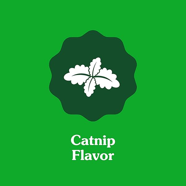 GREENIES CAT TREATS, FELINE VETERINARIAN-RECOMMENDED ADULT NATURAL DENTAL TREATS, CATNIP FLAVOR, 4.6 OZ. POUCH