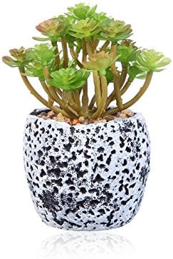 Artificial Succulent Plants Mini Green Faux Succulent Cactus Fake Flowers in Black and White Planter Pots for Home&amp;Office Decor