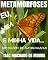 Livro METAMORFOSES: EU, MIM E MINHA VIDA