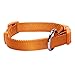 Blueberry Pet 4 Colors Better Basic Dog Collar, Orange Fusion, X-Small, Neck 7.5