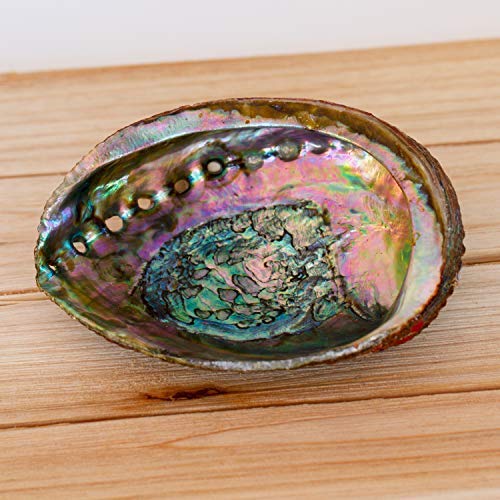 SMUDGING KIT Sticks - Sage Incense Sticks for Spiritual Chakra Cleansing, White Sage, Palo Santo & Abalone Shell for… - Image 3