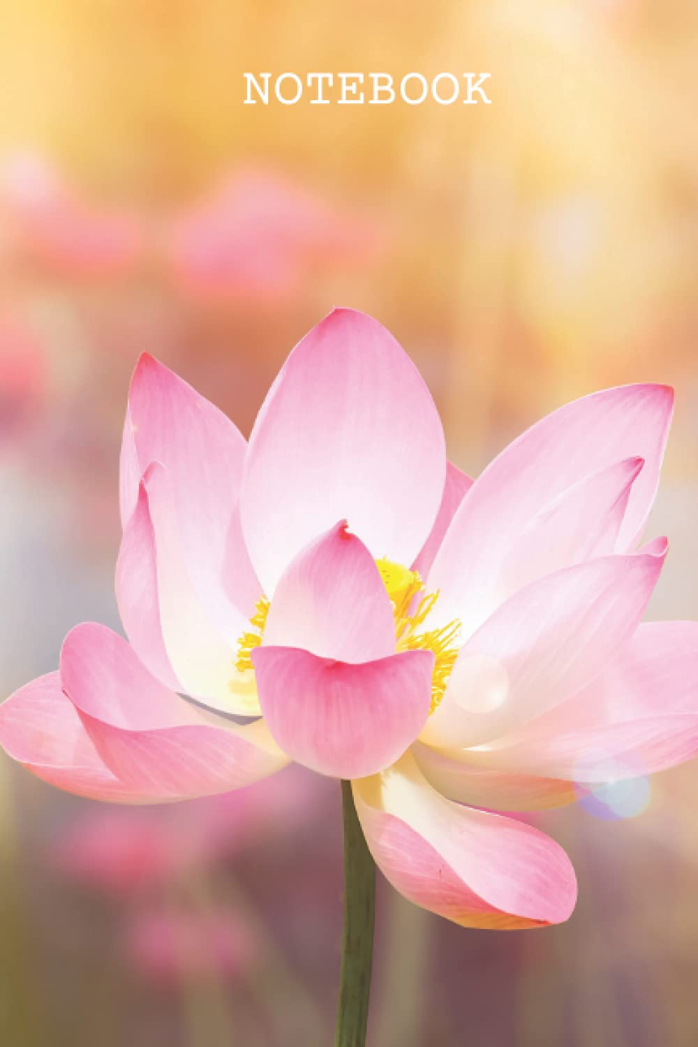 Pink Lotus Notebook: 120 page, college-ruled, lined, glossy (Plant Lover and Flower Notebooks)