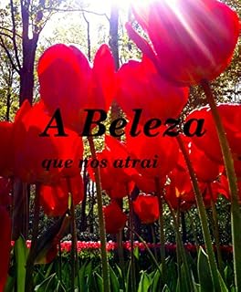 Livro A Beleza que nos atrai