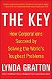 The Key: How Corporations Succeed by Solving the World's Toughest Problems (Business Books)