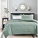 Madison Park Quebec Twin/Twin XL Size Quilt Bedding Set - Seafoam, Damask – 2 Piece Bedding Quilt Coverlets – Ultra Soft Microfiber Bed Quilts Quilted Coverlet