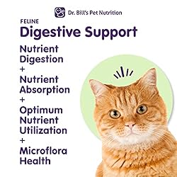 Dr. Bill’s Feline Digestive Support | Probiotics