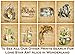 Alice in Wonderland Prints - 11x14 Unframed Wall Art Print Poster - Perfect Alice in Wonderland Gifts and Decorations (Mad Tea Party)