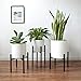 Mkono Mid Century Modern Tall Metal Indoor Plant Stand - Fits Up to 12 Inch Planter, Black