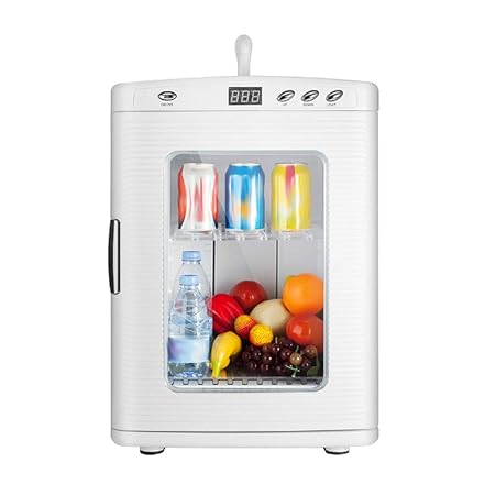 Mini Nevera PortáTil Enfriador y Calentador, 25 litros De ...