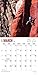 Rock Climbing 2017 Calendar