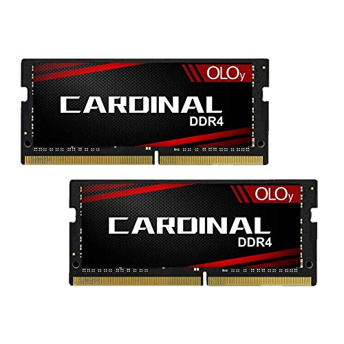 OLOy DDR4 RAM 32GB (1x32GB) 2666 MHz CL19 1.2V 260-Pin Laptop Gaming
SODIMM Upgrade for 2019 iMac 27-inch with Retina 5K Display, Late 2018
Mac Mini (MD4S322619MZSC)