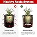 CicoYinG 2-Pack 10 Gallon Potato Grow Bags – Plant Growing Bags w/Drainage Holes & Access Flap & Handles, Garden Bag Plant Pot for Grow Vegetables, Plant Bags Fabric Pots w/4Pcs Plant Labelsthumb 1