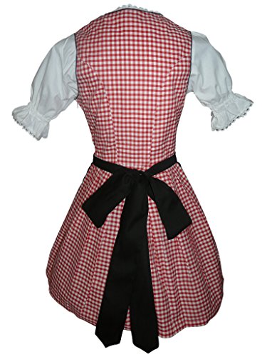 Dirndl World Womens Di04, German Bavarian 3 Piece Mini Dirndl Dress for Oktoberfest, Blouse, Apron, Size 6 - Thumbnail 2