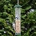 Gray Bunny Premium Steel Sunflower Seed Feeder and Peanut Feeder, 15