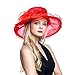 Women's Organza Church Derby Fascinator Cap Kentucky Tea Party Wedding Hat