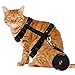 Adjustable Pet Cat Kitten Lead Leash Harness Set Nylon Collar Safty Belt Training Black