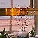 LiyuanQ Branch Lights - Led Branches Battery Powered Decorative Lights Willow Twig Lighted Branch for Home Decoration - 20 Inches 20 LED Lights Warm White (Vase Not Included)