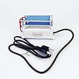 ATWFS New Portable Ceramic Ozone Generator 110V 10g with Plug