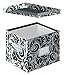 Snap-N-Store Letter-Size File Box, Black and White Scroll (SNS01836)