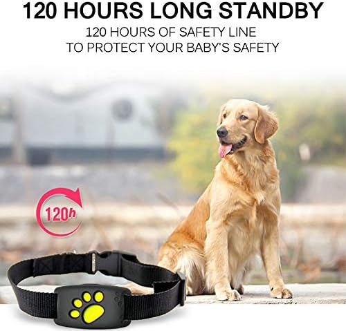dog gps tracker long range
