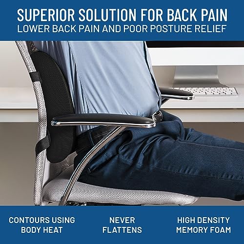 Everlasting Comfort The Original Lumbar Support Pillow Improves Posture, Promotes Back Pain
