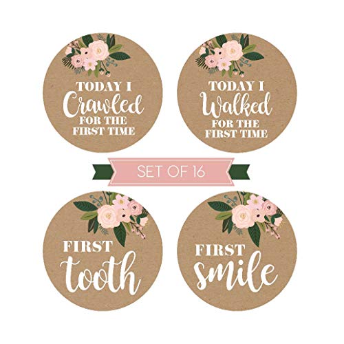 16 Rustic Floral Baby Girl Milestone Stickers, 12 Monthly Photo Picture Props for Infant Onesie, 1st Year Belly Decals, Scrapbook Memory Registry Gift, Best Shower Basket Present, Flower Birth Months - Thumbnail 5