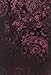 Gothic Dark Lace (Contemporary Foiled Journal) (Contemporary Journals) by 