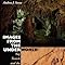 Images From The Underworld Naj Tunich And The Tradition