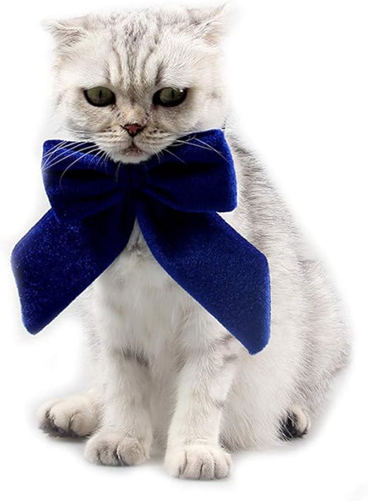 cat christmas bow tie collars