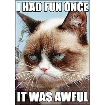 Ata-Boy Grumpy Cat 'Had Fun Once' 2.5