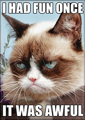 Ata-Boy Grumpy Cat 'Had Fun Once' 6.4cm x 8.9cm Magnet for Refrigerators and Lockers