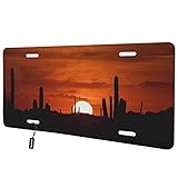 Beabes Saguaro Cactus Arizona Sunset Front License