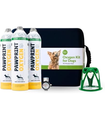 Amazon.com: AeroDawg 原裝犬類氣霧室吸入器墊,適用於小型犬和幼犬,附