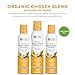 Chosen Foods Chosen Blend Oil Spray 4.7 oz., Non-GMO, 490° F Smoke Point, Propellant-Free, Air Pressure Only for High-Heat Cooking, Baking and Frying