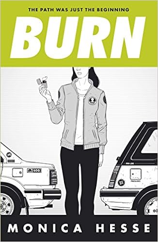 Image result for monica hesse books